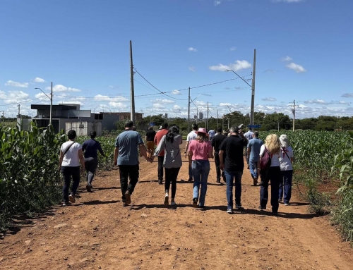 Camino Iniciático en Paraná impulsa liderazgo y peregrinación